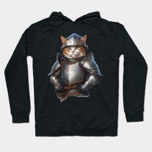 cat knight in shining armour Hoodie